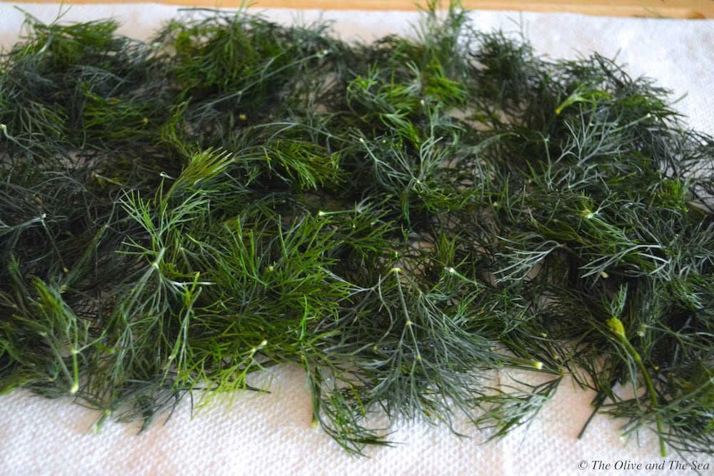 Freezing Dill Weed - The Olive and The Sea
